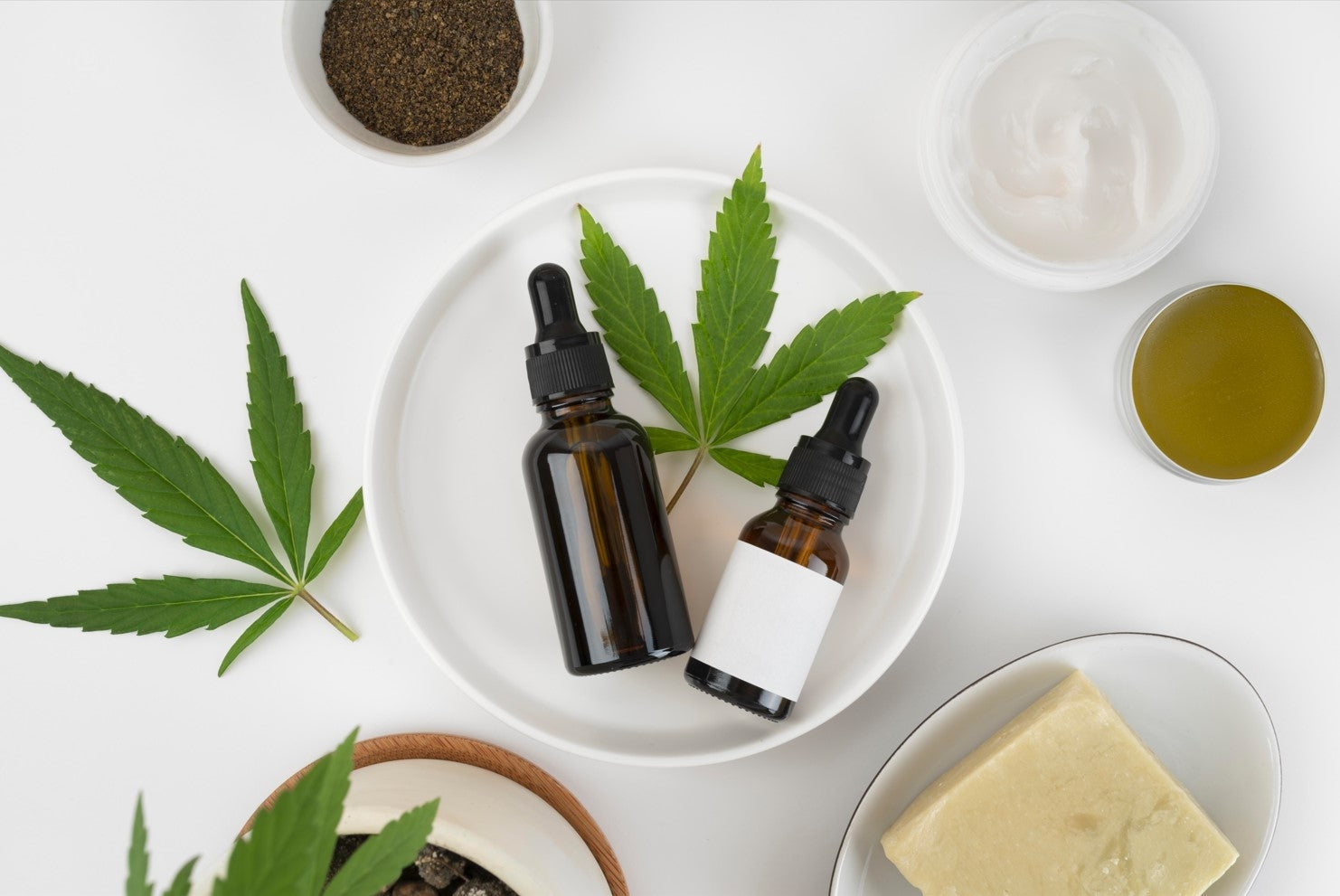 CBD vs. THC: What’s the Difference?-MJ Wholesale