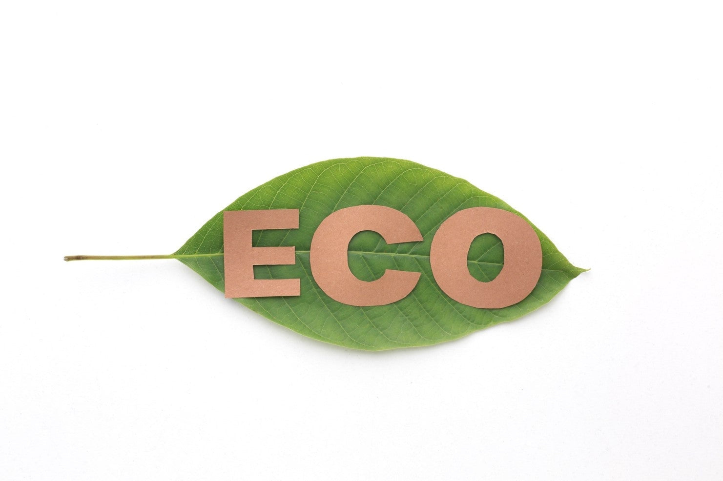 Eco-Friendly Sustainable Packaging and the Cannabis Industry-MJ Wholesale