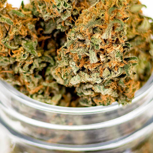 How Much Cannabis Flower Will Fit In A Jar?