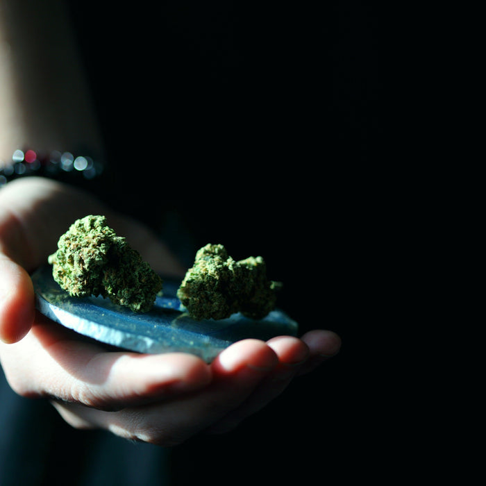 Important things to consider when Drying, Curing, and Storing marijuana