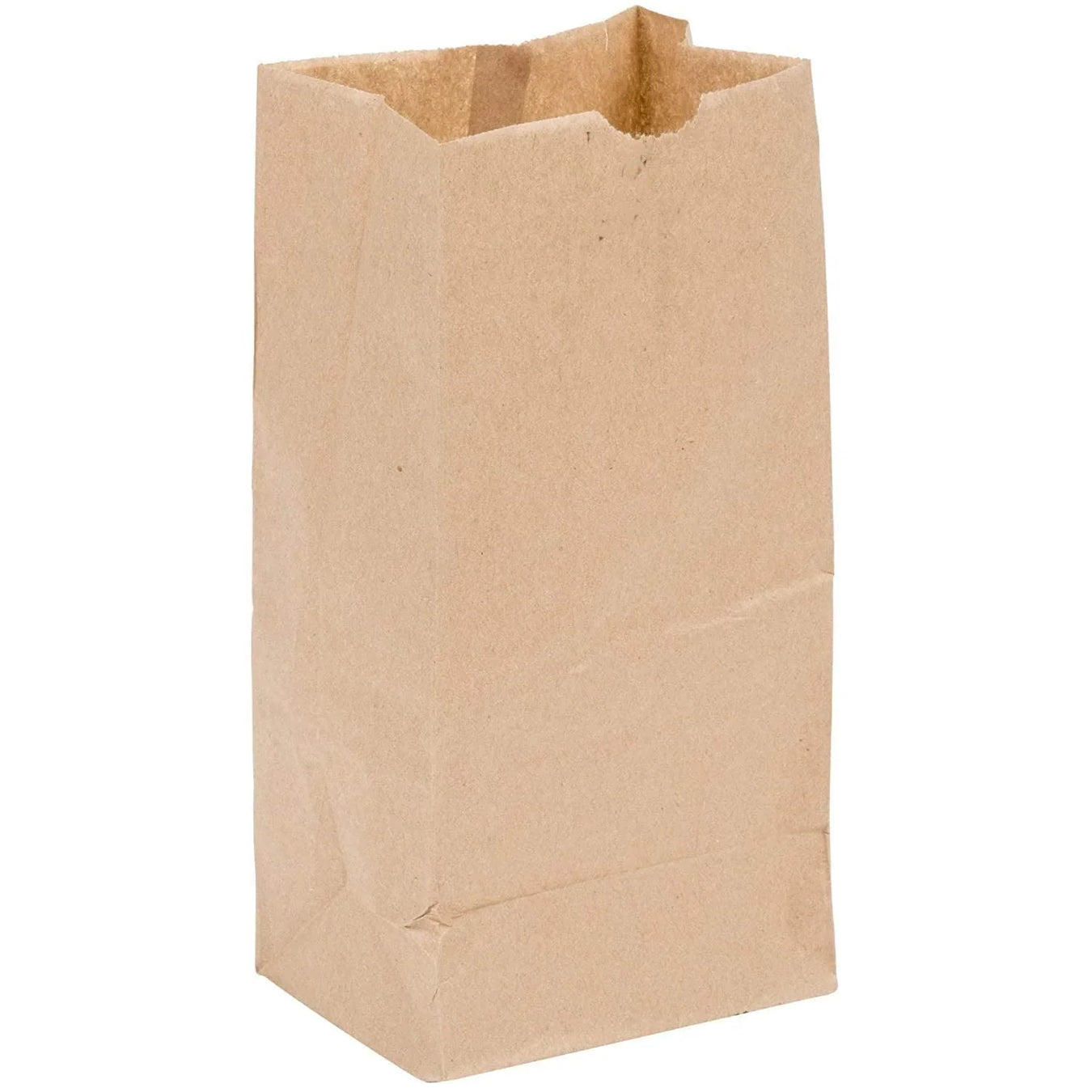 10-paper-bags-10-paper-bags-MJ Wholesale