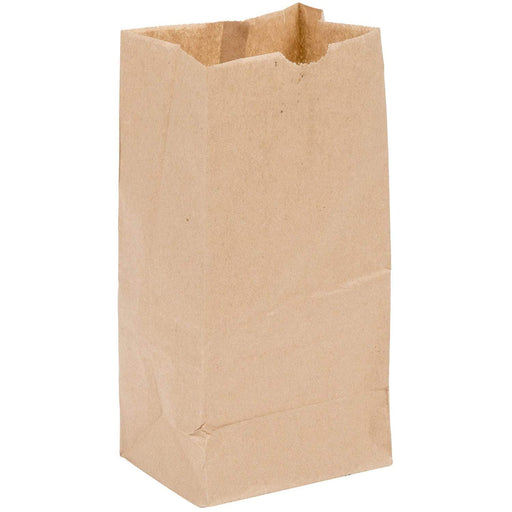 #3 Brown Paper Bag - 3 Pound - (500 - 10,000 Count)-Pharmacy Bags & Exit Bags