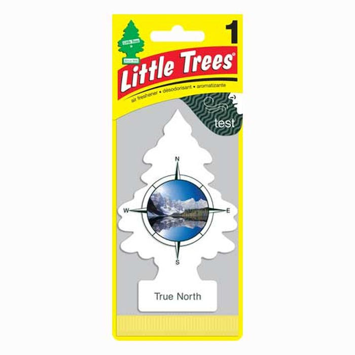 Little Trees True North Scent Air Freshener Display - (24 Count Display)-Air Fresheners & Candles