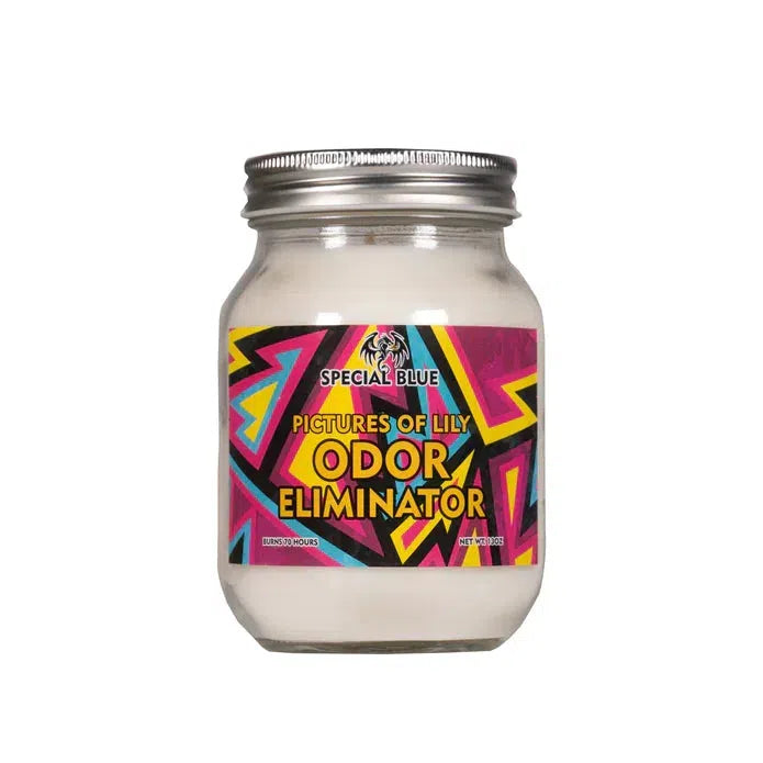 Best odor eliminator clearance candle